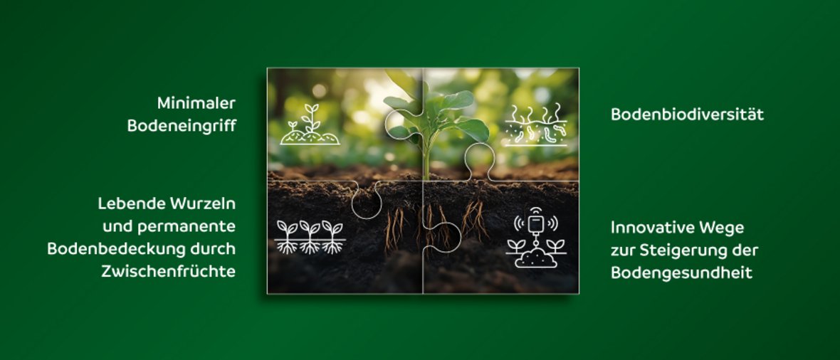 Grafik mit vier Themen: Minimaler Bodeneingriff; Bodenbiodiversität; Lebende Wurzeln und permanente Bodenbedeckung durch Zwischenfrüchte; Innovative Wege zur Steigerung der Bodengesundheit