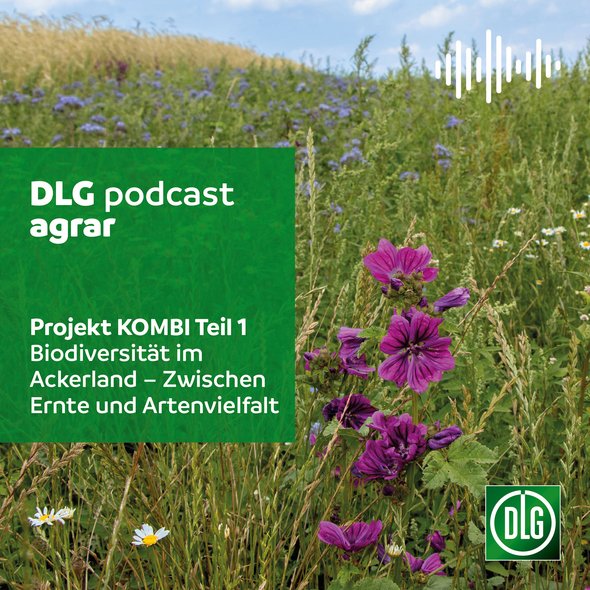 Bild zu Podcast: Biodiversität im Ackerland